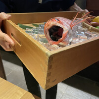 のどぐろ専門 銀座 中俣 - 