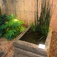 不風流 - 