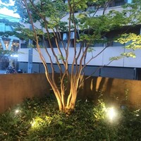 不風流 - 