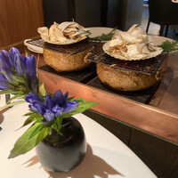 レフェルヴェソンス - 