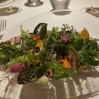 レフェルヴェソンス - 