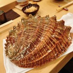 木挽町 とも樹 - この鮑はデッカイ。親方のストックです