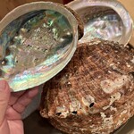 木挽町 とも樹 - 生息域と餌で色が変わるんですね