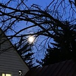 The Pie Hole Los Angeles Kyu Karuizawa - 旧軽銀座の裏通りを歩きました。ショー通りというのですね。あの有名なテニスコート通りを見ることができて感動！