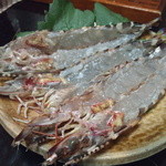 月波 - 車海老・・・こいつを焼いて食べますが、生でもイケそう(笑)