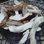 月波 - 香り松茸・・・確かに!!