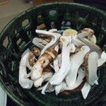 月波 - 松茸です。国産です。長野産です。