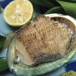 月波 - スライスアワビ・・・こんなに薄い造りは初めてですが、美味しいアワビでした。