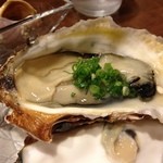 Dainingu Kou - 生牡蠣