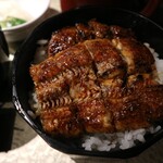 那古野炭焼きうなぎ・かしわ 登河 - 