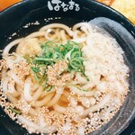 Sanuki Udon HANAMARU - 