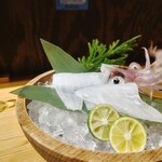 鯖とか烏賊とか真とか - 水槽のイカからのー