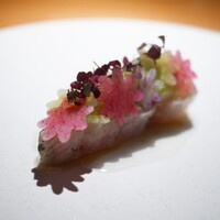 Metis 六本木 - 