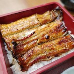 Unagi Nakajima - 