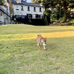 ベルエキップ - 