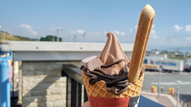ミニストップ ネオパーサ駿河湾沼津SA上り店 （MINI STOP） - 原