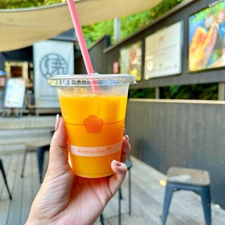 鳥居の結び葉_1