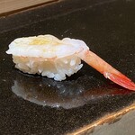 寿司 はせ川 - 北海道の甘海老