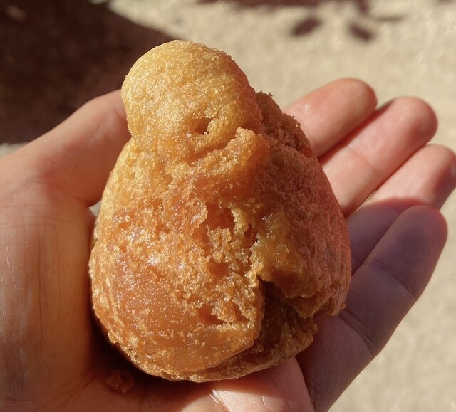 Okinawa Takarajima Nagoya Ten photo 2