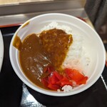 Sanosa Bisu Eria No Borisen Fu Doko To - ミニカレー。