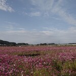 道の駅ましこ - 