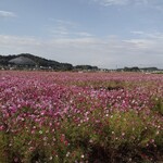 道の駅ましこ - 