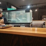 鯖とか烏賊とか真とか - 