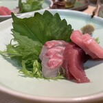 小料理 椿 - お造り