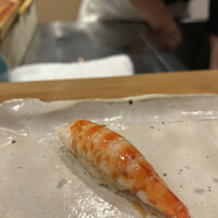 月の木 - 