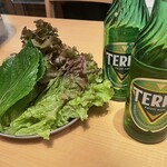 韓国料理 ホンデポチャ - やっぱりTERRAでしょ