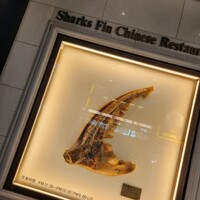 筑紫樓 銀座店 - 