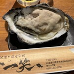 地酒と道産食材 一笑 - 生牡蠣