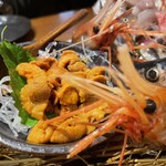 地酒と道産食材 一笑 - 塩水うに　美味！