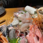 地酒と道産食材 一笑 - 真ん中が激レア「ししゃもの刺身」