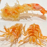 天ぷら浅沼 - 