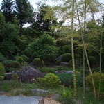 蕎麦 阿き津 - 店内なら見る庭の夕景