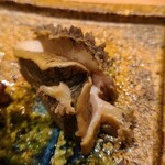 鮨 さかい - ③酒蒸し黒鮑(佐賀県唐津産)
      産卵は秋～冬、旬は初夏～夏
      軟らかさと弾力が両立している抜群の蒸し加減、旨みと甘みがきわだっています