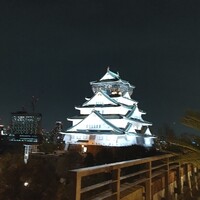 BLUE BIRDS ROOF TOP TERRACE - 