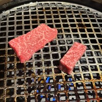 近江うし焼肉 にくTATSU 銀座店 - 