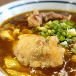 根っこ - 和風玉カレーゲソ天ON