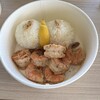 KOURI SHRIMP