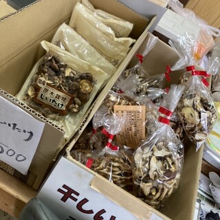 なかのきのこ園_0