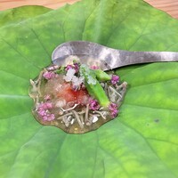 炭Kappo hirac - 
