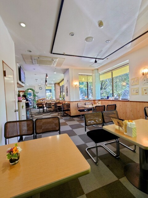 Kissa Chip In photo 3