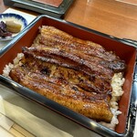 Unagi Ikeda - 