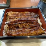 Unagi Ikeda - 