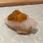 鮨菜 和喜智 - アオリイカ　塩雲丹