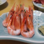 中村屋 - 甘えび刺し