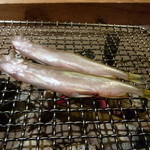 いろり庵 - 青いシシャモオス