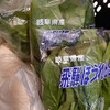 カネ井青果 セントラルパーク店